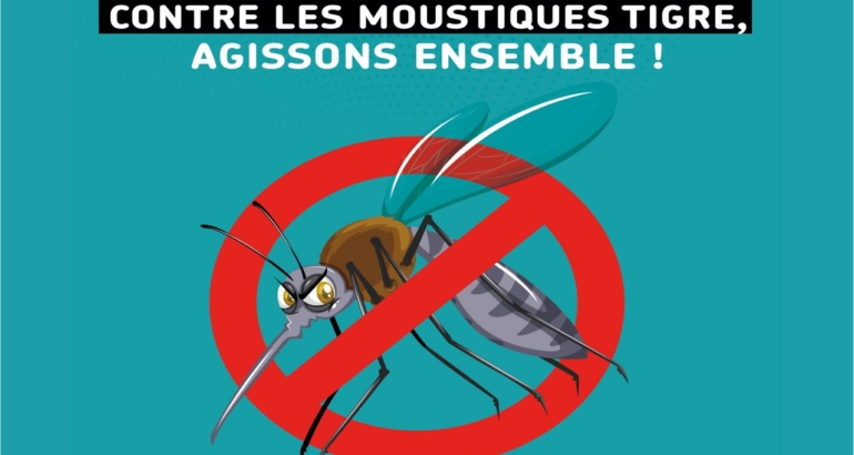 Combattez les moustiques tigres ! 🦟